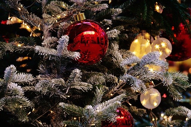 Der Weihnachtsbaum