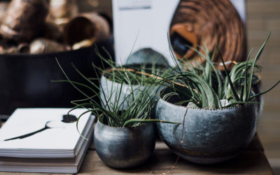 Essen ohne eine Zahnbürste