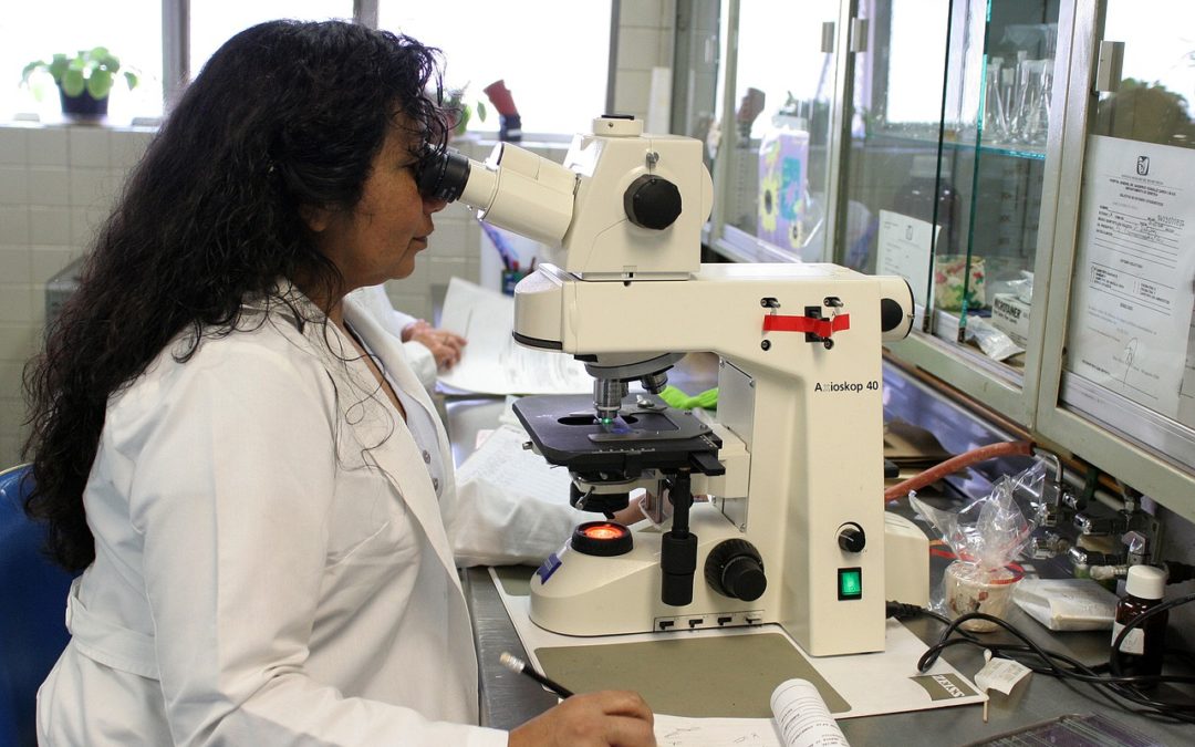 Test auf den Coronavirus