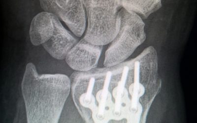 Fachliche Stellungsnahme Medizin